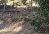 Urban land for sale on Avinguda de Maristany, Sant Quintí de Mediona, ref: TR59121 photo