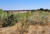 Land suitable for development for sale on M-523, Villanueva de Perales, ref: TR59217 photo