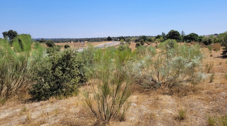 Comunidad de Madrid - Villanueva de Perales - 5934m2