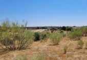Land suitable for development for sale on M-523, Villanueva de Perales, ref: TR59217 photo
