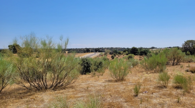 Comunidad de Madrid - Villanueva de Perales - 5934m2