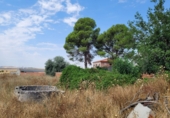 Parcel·la urbanitzable en venda a la Calle del Rey Juan Carlos I, Pantoja, ref.: TR59216 foto