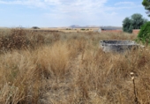 Parcel·la urbanitzable en venda a la Calle del Rey Juan Carlos I, Pantoja, ref.: TR59216 foto