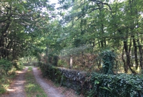 Castroverde 33000&nbsp;m² 