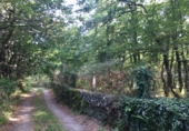 Village house for sale on ARCOS, Castroverde, ref: TR59543 photo