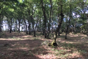 Castroverde 33000&nbsp;m² 