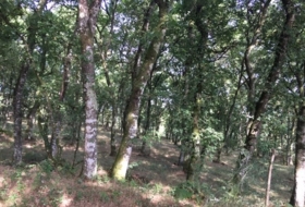Castroverde 33000&nbsp;m² 