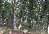 Village house for sale on ARCOS, Castroverde, ref: TR59543 photo