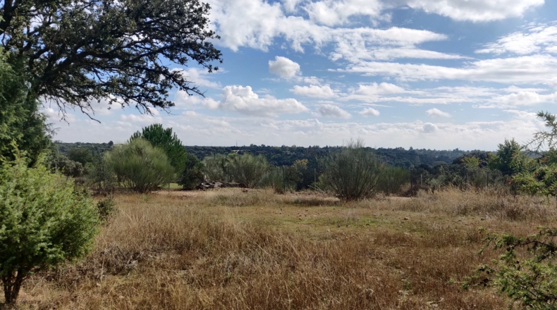 Toledo - Reguerones - 5097m2