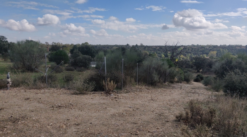 Toledo - Reguerones - 5097m2