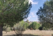 Terreny amb magatzem en venda a la Calle de Los Almendros, Reguerones, ref.: TR59867 foto