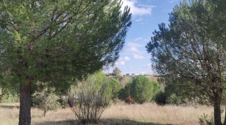 Toledo - Reguerones - 4012m2