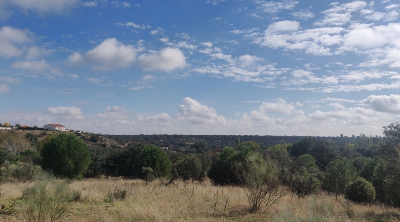 Toledo - Reguerones - 4012m2