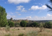 Terreny amb magatzem en venda a la Calle de Los Almendros, Reguerones, ref.: TR59867 foto