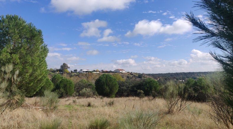 Toledo - Reguerones - 4012m2
