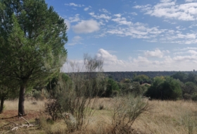 Reguerones 4012&nbsp;m² 