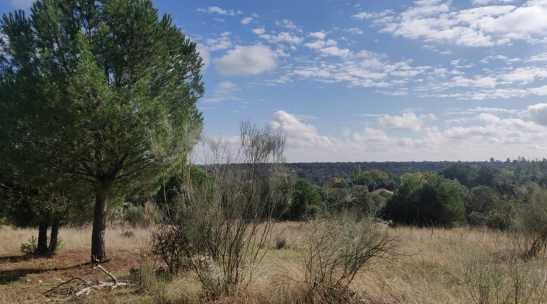 Toledo - Reguerones - 4012m2