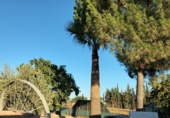 Finca rústica en venda a la A-8029, Utrera, ref.: TR59871 foto