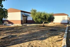 Foto 8