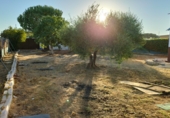 Finca rústica en venda a la A-8029, Utrera, ref.: TR59871 foto