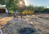 Finca rústica en venda a la A-8029, Utrera, ref.: TR59871 foto