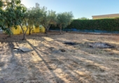 Finca rústica en venda a la A-8029, Utrera, ref.: TR59871 foto
