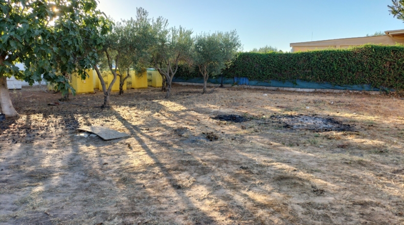 Sevilla - Utrera - 1000m2
