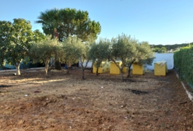 Foto 19