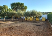 Finca rústica en venda a la A-8029, Utrera, ref.: TR59871 foto