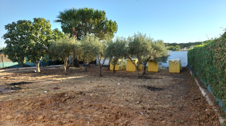 Sevilla - Utrera - 1000m2