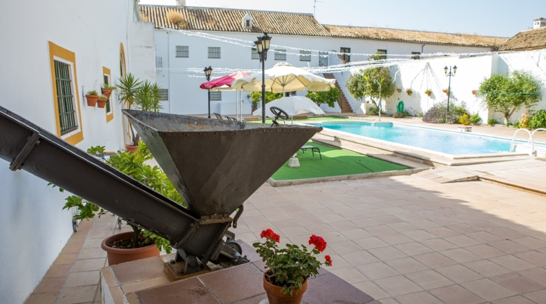 Córdoba - Aguilar de la Frontera - 36500m2