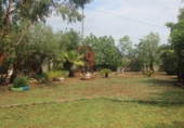 Земельный участок на продажу в городе Llocnou de Sant Jeroni Фото