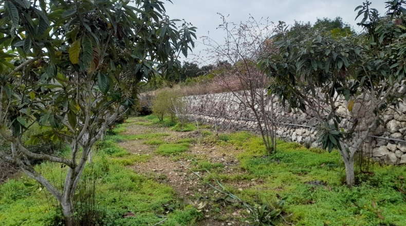 Valencia - Lugar Nuevo de la Corona - 12500m2