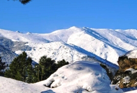 Navaluenga 15000&nbsp;m² 