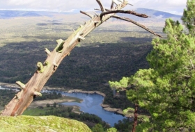 Navaluenga 15000&nbsp;m² 