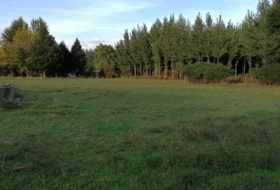 Arenas de San Pedro 7600&nbsp;m² 