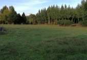 Terreno con Almacén en venta en la Dehesa de Los Llanos S/N, Arenas de San Pedro, ref: TR60068 foto