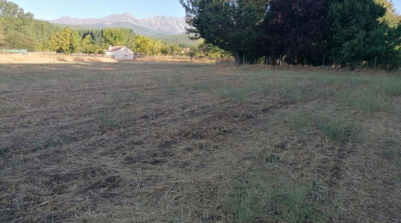 Ávila - Arenas de San Pedro - 7600m2