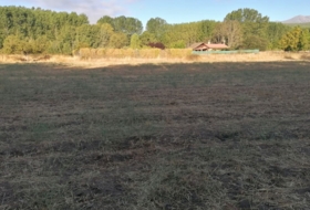 Arenas de San Pedro 7600&nbsp;m² 