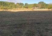 Terreno con Almacén en venta en la Dehesa de Los Llanos S/N, Arenas de San Pedro, ref: TR60068 foto
