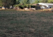 Terreno con Almacén en venta en la Dehesa de Los Llanos S/N, Arenas de San Pedro, ref: TR60068 foto