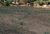 Terreno con Almacén en venta en la Dehesa de Los Llanos S/N, Arenas de San Pedro, ref: TR60068 foto