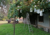 Terreno con Almacén en venta en la Dehesa de Los Llanos S/N, Arenas de San Pedro, ref: TR60068 foto