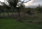 Terreno con Almacén en venta en la Dehesa de Los Llanos S/N, Arenas de San Pedro, ref: TR60068 foto