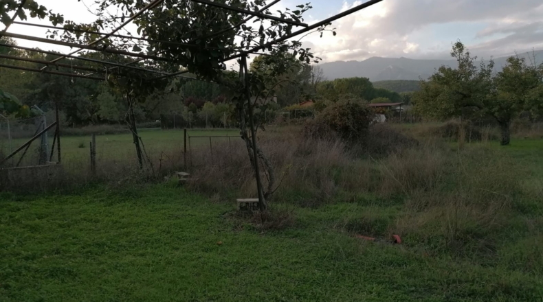 Ávila - Arenas de San Pedro - 7600m2