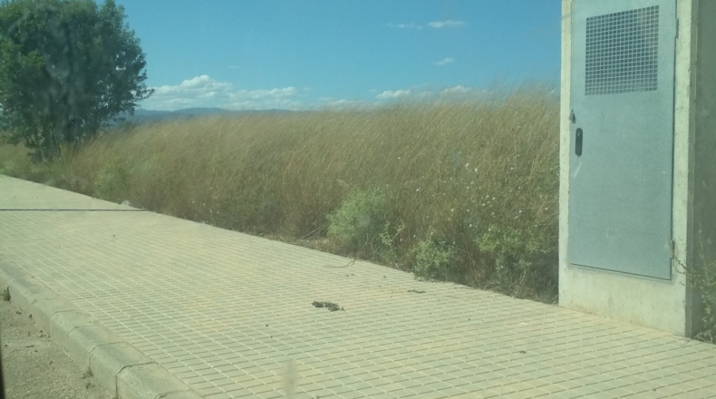 Valencia - Liria - 2170m2