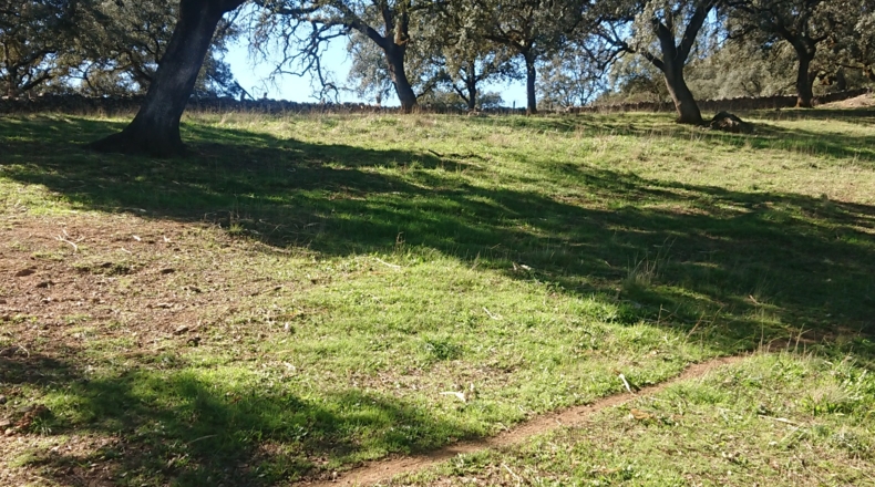 Huelva - Cortegana - 140000m2