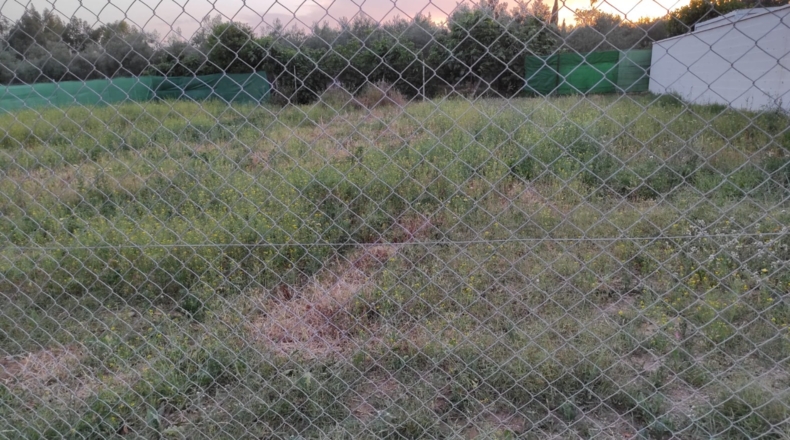 Sevilla - Dos Hermanas - 750m2