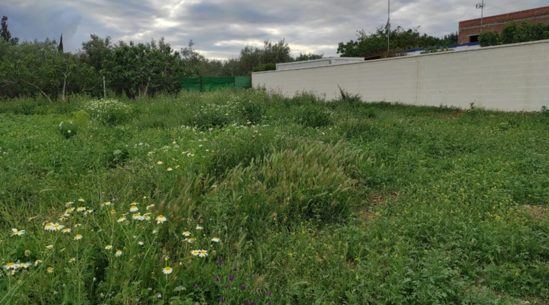 Sevilla - Dos Hermanas - 750m2