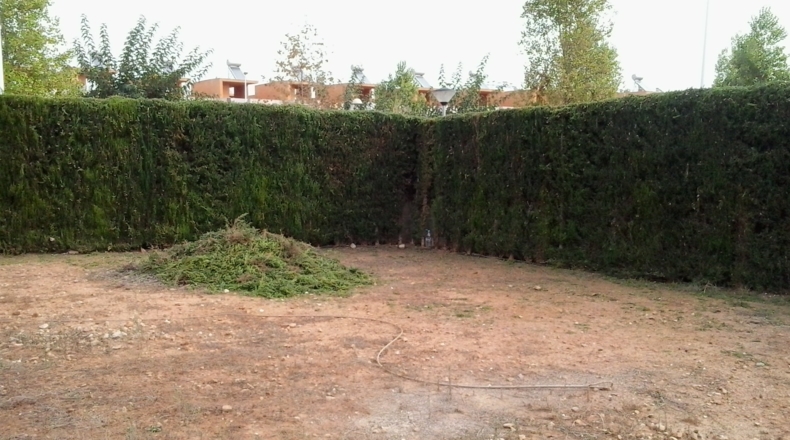 Castellón - el Balcó - 637m2